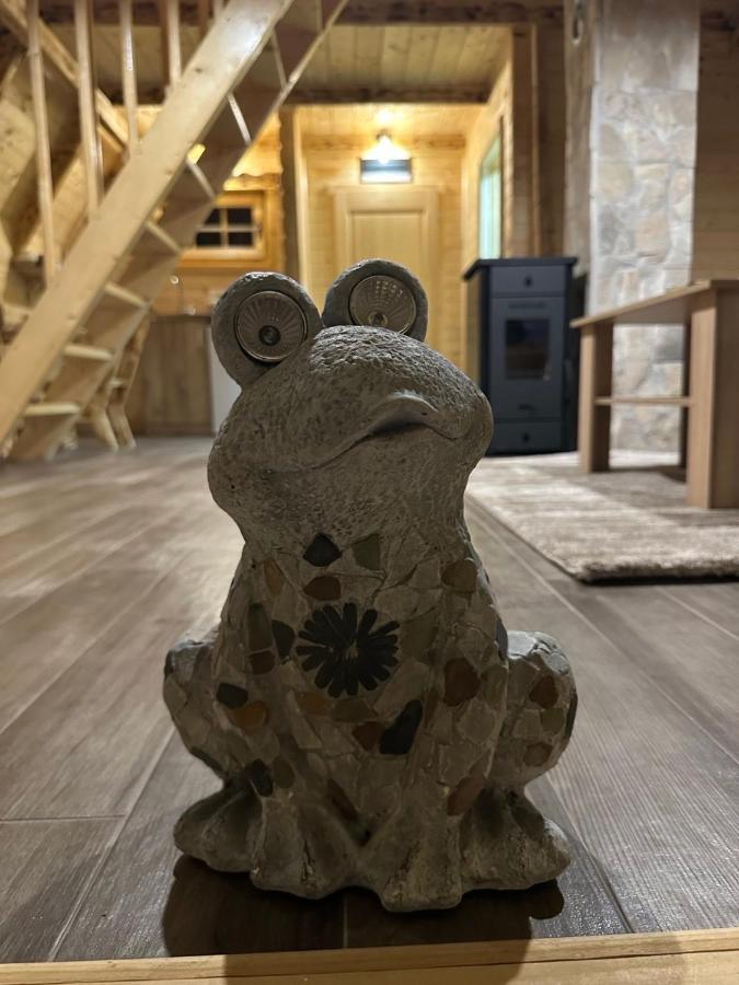 ŽabljakFroglandアパートメント エクステリア 写真